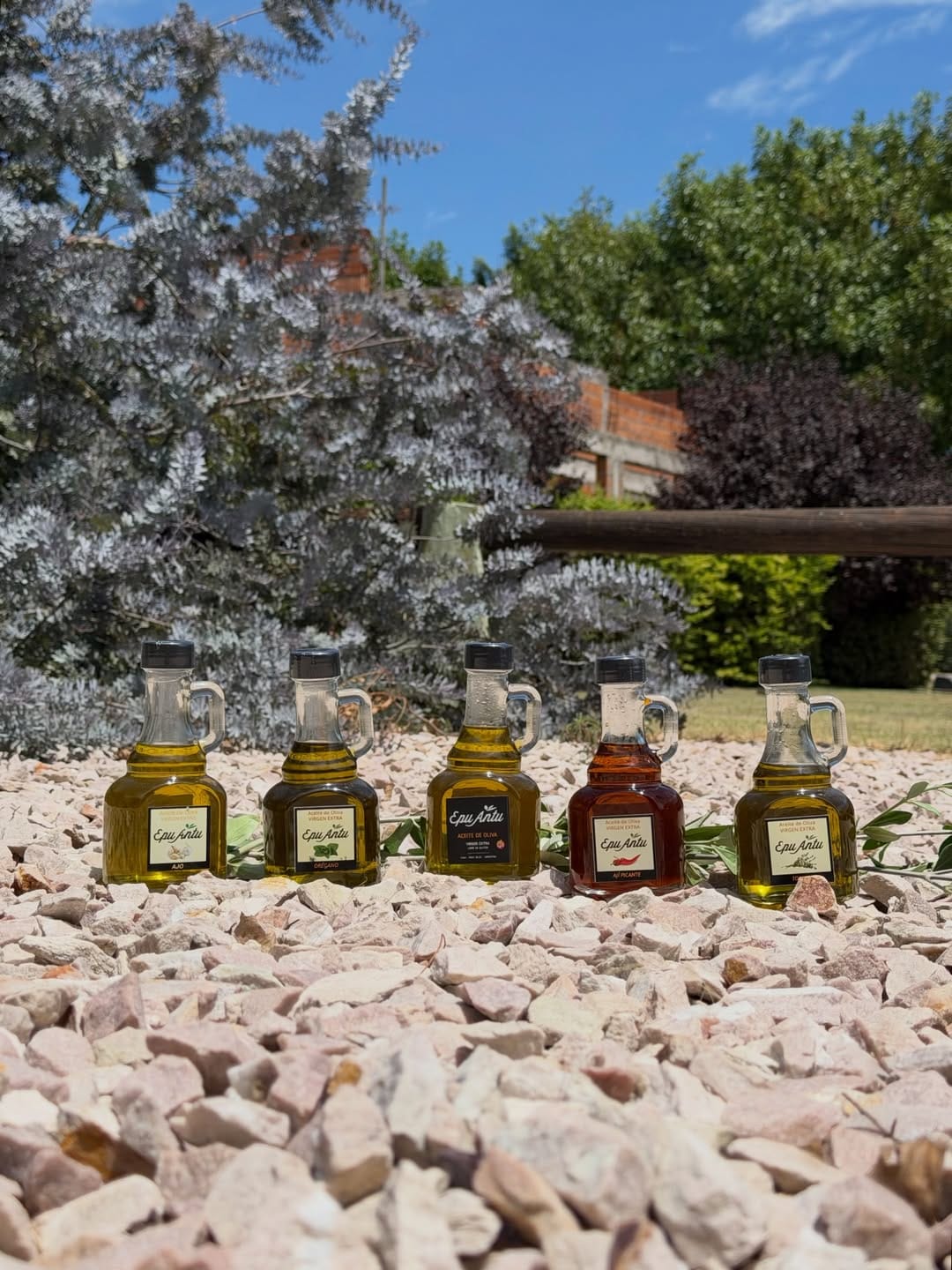 Epu Antu – Ruta del Olivo