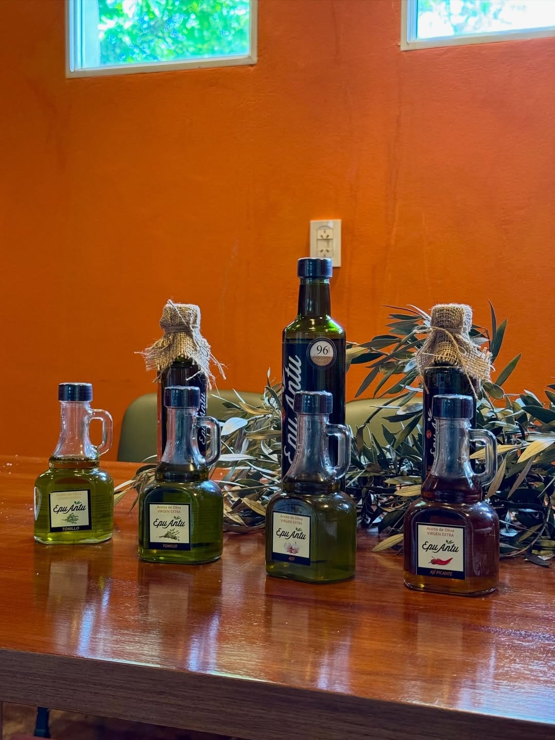 Epu Antu – producción de aceite de oliva