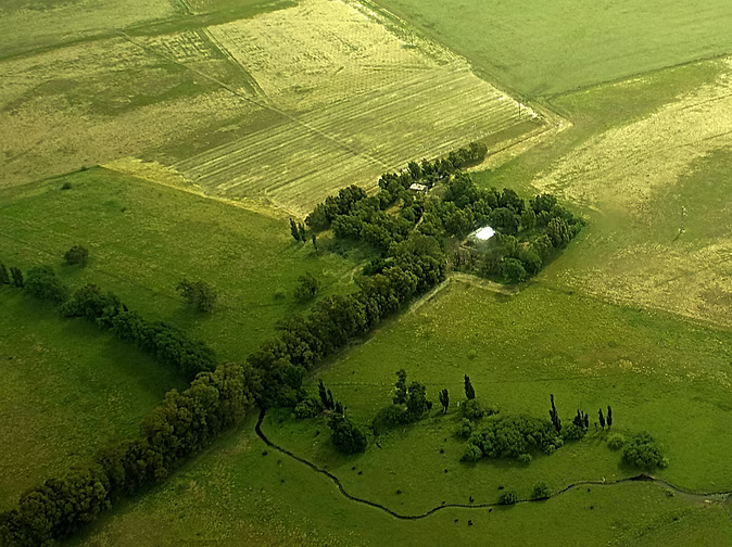 Olivos del Napostá – olivar junto al arroyo