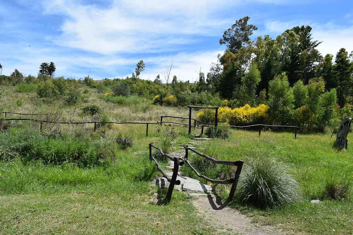 Sendero Claroscuro - foto 2, ver en grande