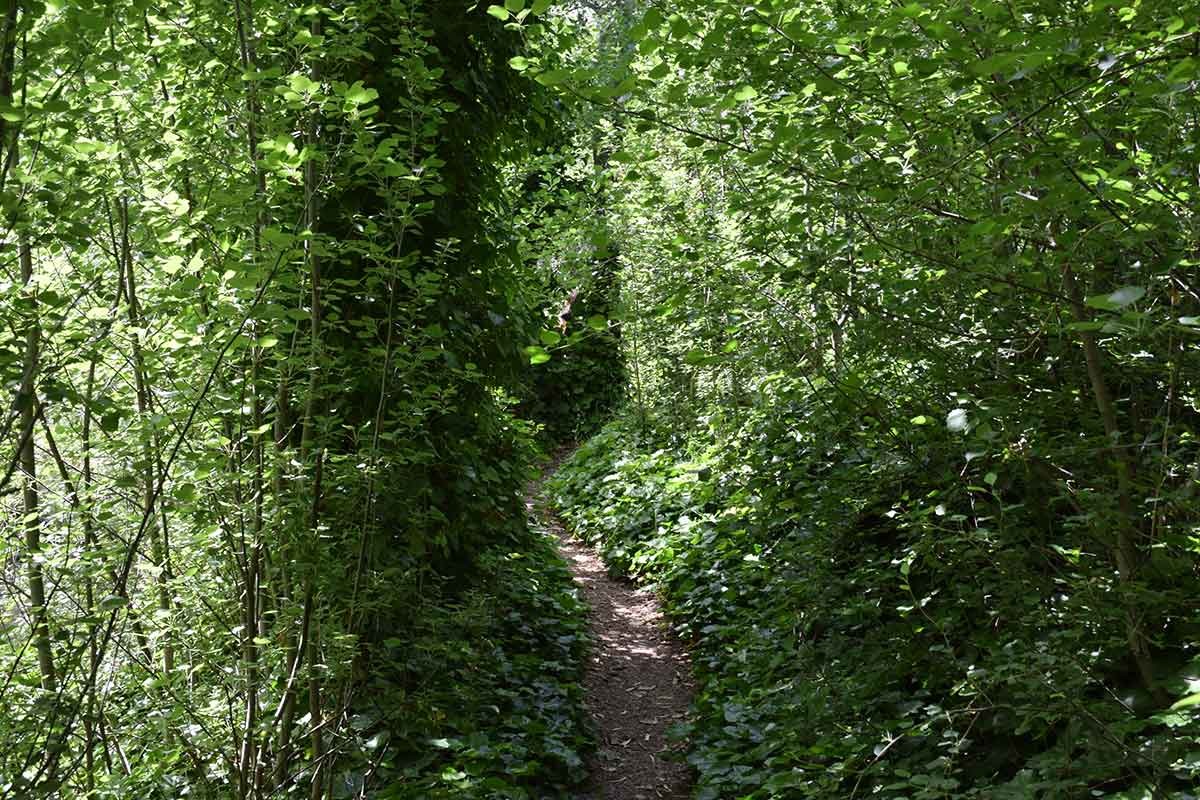 Sendero Claroscuro - foto 3, ver en grande