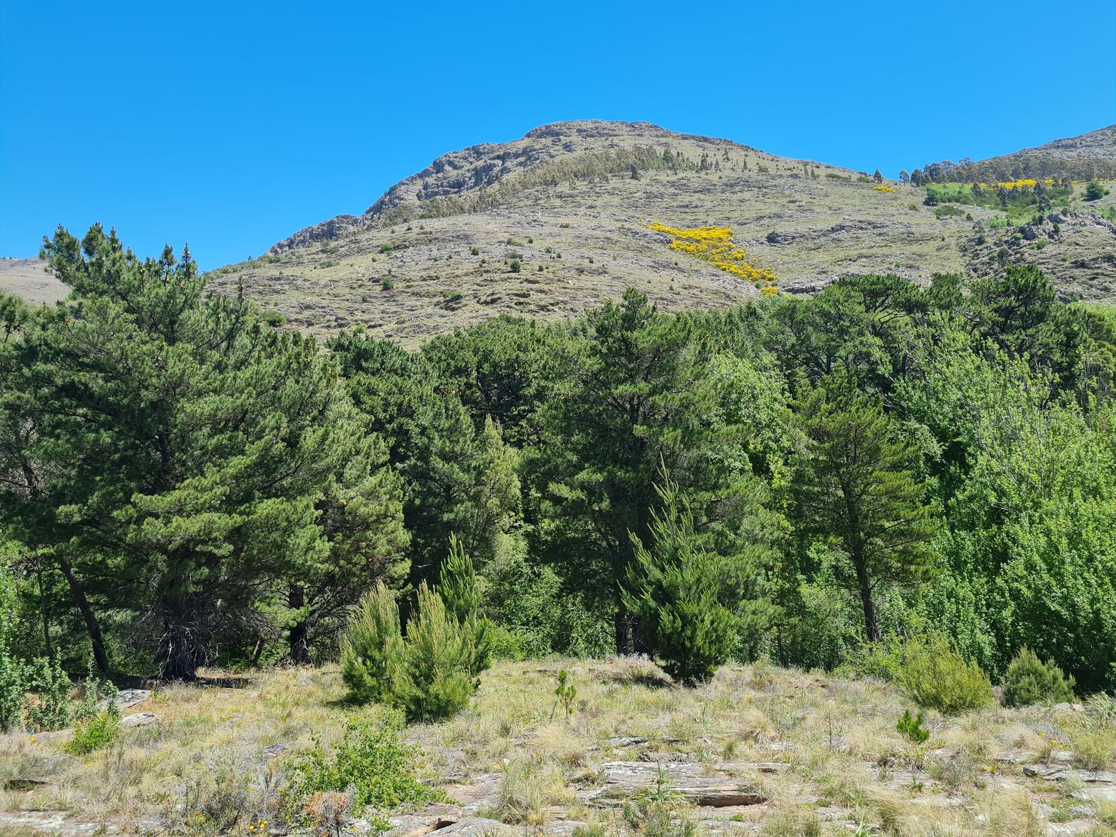 Sendero Claroscuro - foto 4, ver en grande