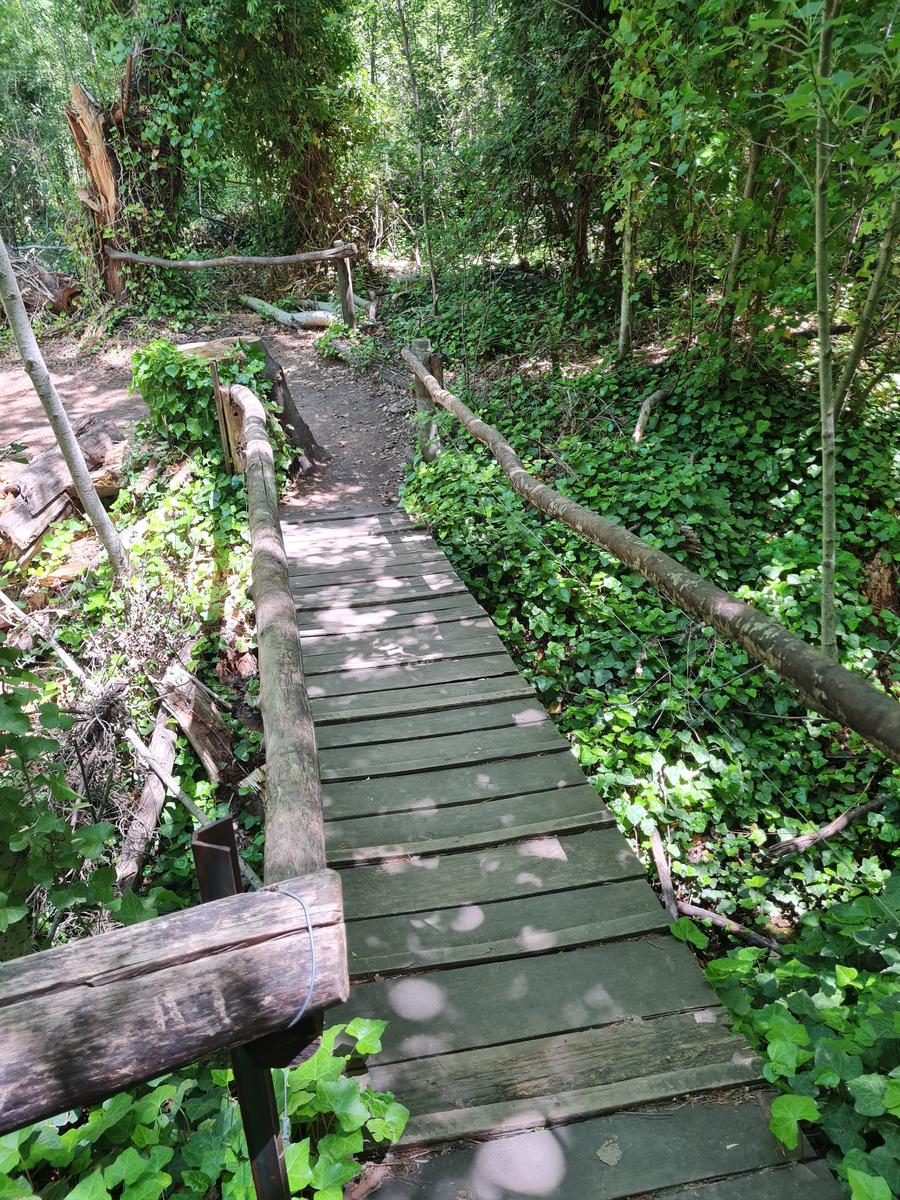 Sendero Claroscuro - foto 5, ver en grande