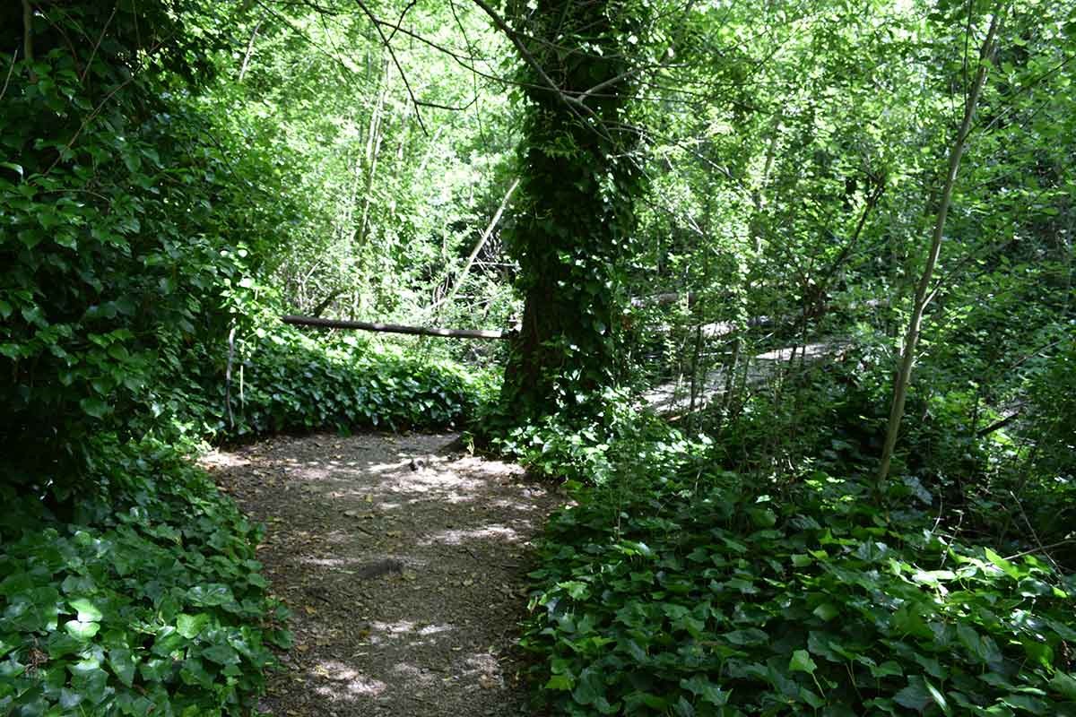 Sendero Claroscuro - foto 7, ver en grande